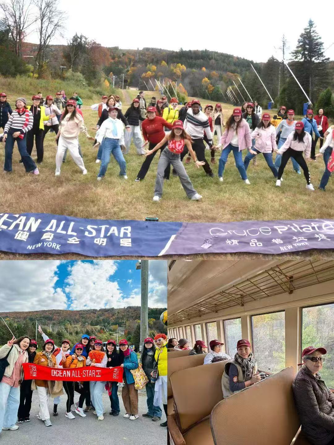 会员在户外草地上一起做操跳舞
